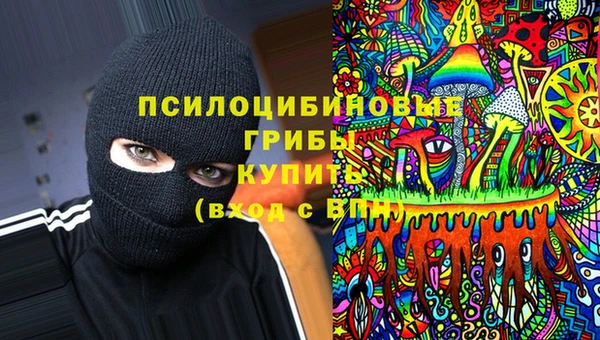 эйфоретик Алзамай