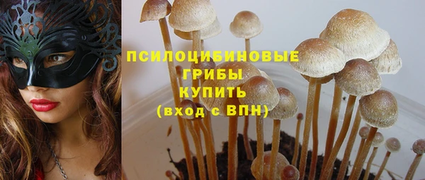 эйфоретик Алзамай