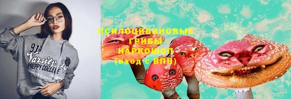 PSILOCYBIN Алексин