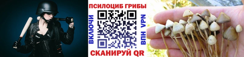 это клад  Усть-Илимск  Псилоцибиновые грибы ЛСД 