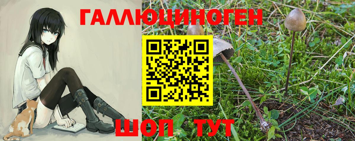 Усть-Илимск  Галлюциногенные грибы мухоморы  Вход с VPN 